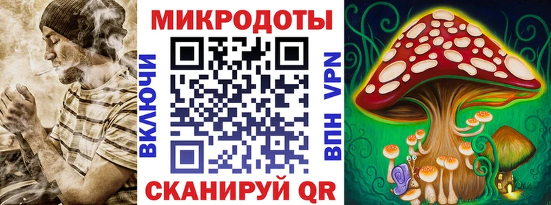 Псилоцибиновые грибы GOLDEN TEACHER продажа наркотиков Борисоглебск